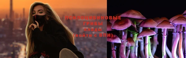 шишки Новозыбков