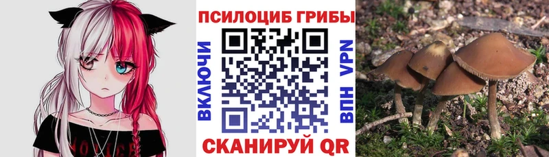 Галлюциногенные грибы ЛСД  цена   Сураж 